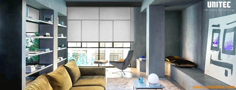 Coulisse Roller Shades