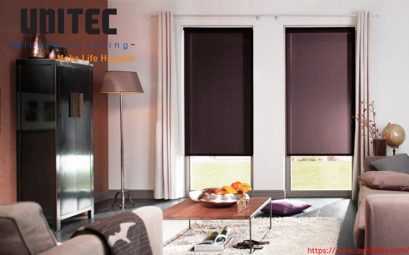 Roller blinds or pleated blinds