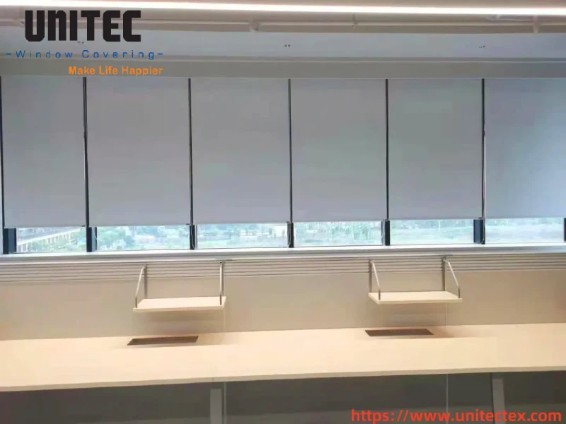 temporary blinds